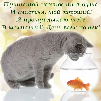 ツღ С днем пушистых и хвостатых!!! С днем кошек!!!♥ܨ ♪ ~ Открытка (плейкаст)