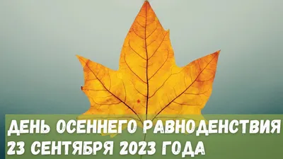 Пин от пользователя Anna на доске Юмор. | Школьные фрески, Рисунки роз,  Смешные поздравительные открытки