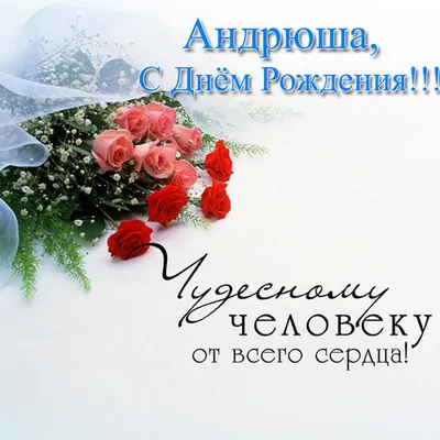 С днем рождения Андрей