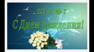 Красивое поздравление начальнице с днем рождения — своими словами, открытки  и картинки - Телеграф