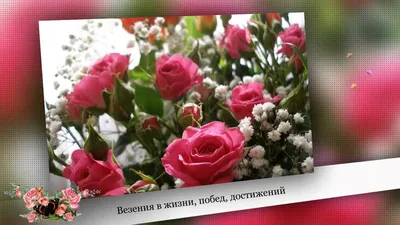 Pin by Tatyana on С Днём Рождения !!! | Rose flower pictures, Rose flower  wallpaper, Rose flower arrangements