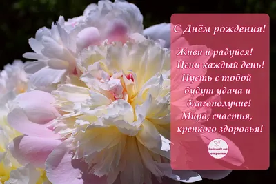 Красивые пионы открытки с днем рождения - 73 фото