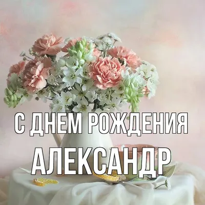 Поздравляем с днём рождения Александра Зямилова! Александр @a.zyama 🎉🎉🎉  Саша, желаем тебе новых побед и завоеваний в спорте, ещё больше эн… |  Instagram