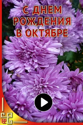 Видео поздравление с днем рождения в октябре. Открытки с днем рождения | С  днем рождения, Рождение, Праздничные открытки