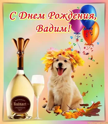 С днём рождения, Вадим Часовских!