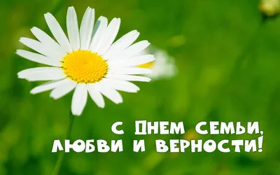 Картинка: С Международным днем семьи!