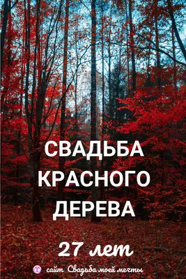 27 лет свадьбы | Свадьба, Лето, Годовщина