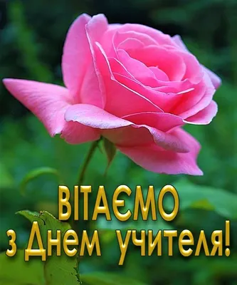 З Днем учителя! | Science and nature, Flowers, Nature