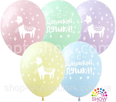 ✧°• - С днюшкой степ дед 💖🎇🎁  -----------------------------------------------— #gift.. | ВКонтакте