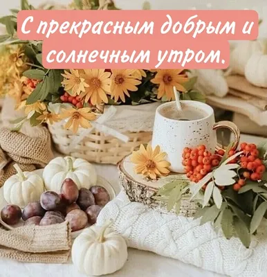 С добрым утром!☕️ Солнечного зимнего дня! Самое красивое пожелание доброго  утра! - YouTube