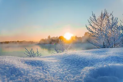 С добрым утром, снег идёт, чашка…» — создано в Шедевруме