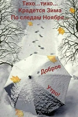 Доброе утро, Зима! (Екатерина Горшкова) / Стихи.ру