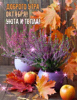 С Добрым утром октября☕🌻 | Открытки Тедди | ВКонтакте