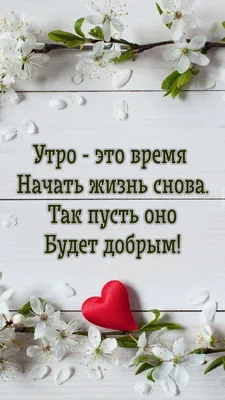 Прикольная осенняя открытка с добрым утром и пожеланиями | Открытки,  Собачки, Забавные животные