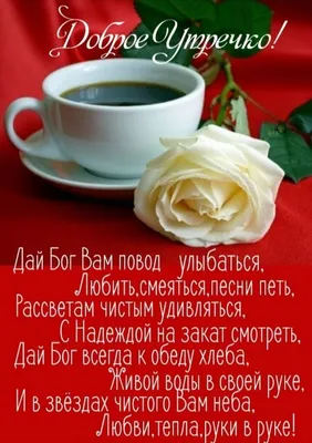 🍁Всем Доброго Утра ✌️ 🌞С добрым утром😊, с новым днем и пусть он будет  просто замечательным. ✌️.. | ВКонтакте