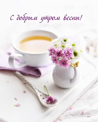 С добрым утром 🌞🌼🌺🌹 | TikTok