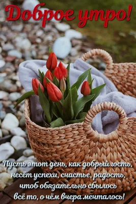 С Добрым утром, Страна! 😌 ☀ С первым днем весны!!! 🌷 Весна — пора любви и  новых начинаний. Вас.. | ВКонтакте