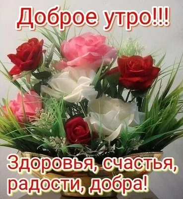 🌞 С добрым утром! 🎈 | Поздравления, пожелания, открытки с Рождеством! |  ВКонтакте