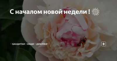 Доброе утро! С началом новой недели! Это значит, | [ТН] Типичный Новоуральск