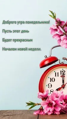 С началом новой недели! Пусть каждый день будет позитивным, радостным,  продуктивным и очень солнечным! | ВКонтакте