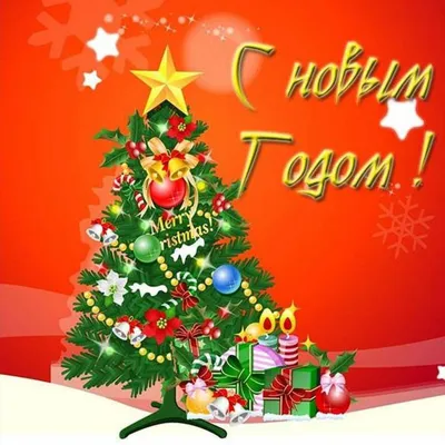 Новый год | Happy cards, Funny happy birthday wishes, Happy new years eve