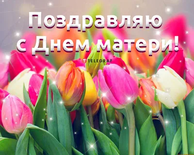 С Днем матери! - Шумилинский лесхоз