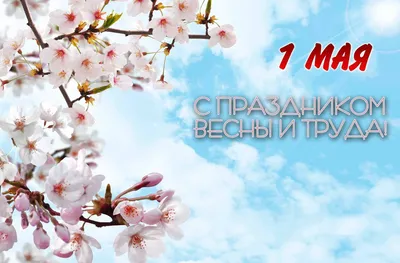 С праздником весны! С 8 марта! / Новости / ФЕКО