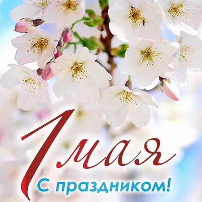 С ПРАЗДНИКОМ ВЕСНЫ!🌷 | Мои года - мое богатство