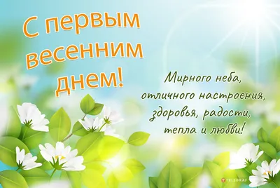 Милые дамы, с праздником весны и красоты! С 8 Марта!