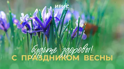 ФЭК.РФ: С праздником весны!