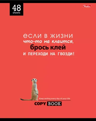 С улыбкой по жизни | 10.11.2023 | Приозерск - БезФормата