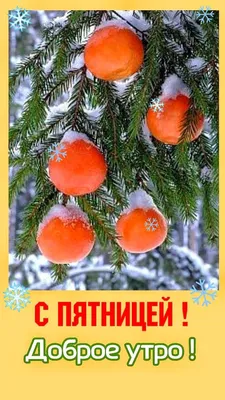 С ПЯТНИЦЕЙ! 🎄💖⛄🍒❄🎇❄🍒⛄💖🎄 ХОРОШЕГО НАСТРОЕНИЯ В ЛЮБУЮ ПОГОДУ! 🌨☀❄ |  Открытки, Осенние фотографии, Фотографии для мотивации