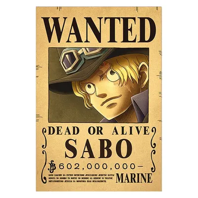 Sabo One Piece Sitting Plush | Crunchyroll Store