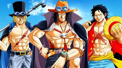 One Piece: 7 Things You Might Not Know About Sabo