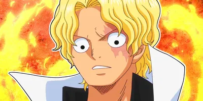 What episode does Sabo appear?