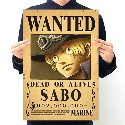 One Piece: Sabo's New Bounty After Reverie, Explained