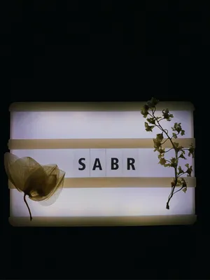 Sabr Doesn't Mean What You Think It Means – islamwich