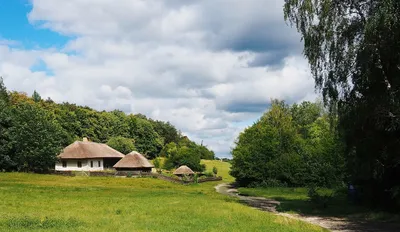 Садок вишневий коло хати... - Изобразительное искусство - Масло, акрил