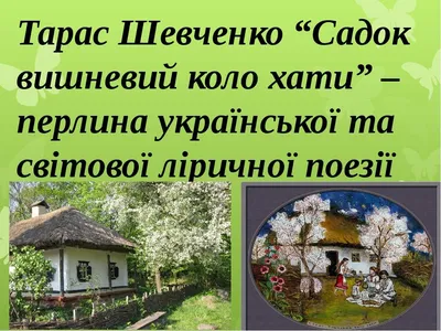 Футболка с принтом \"Садок вишневий коло хати\" (ID#1642969010), цена: 389 ₴,  купить на Prom.ua