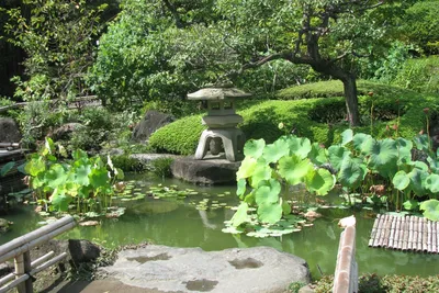 [79+] Сады японии картинки обои