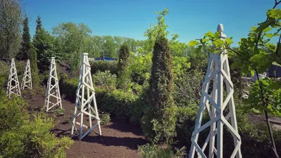 Картинки Токио Япония Koyasan, Banryūtei Сады Дома город Города