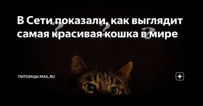 Кружка CoolPodarok \"Так выглядит самая лучшая в мире подруга\", 330 мл, 1 шт  - купить по доступным ценам в интернет-магазине OZON (318067311)