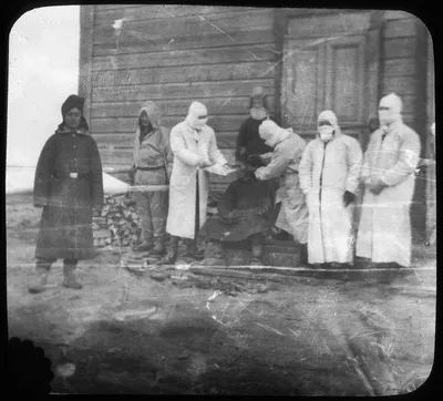 Самая страшная бабочка в мире: мужчина снял на видео создание с крыльями и  щупальцами