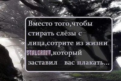 Прикольные статусы на все случаи жизни для социальных сетей: 50+ вариантов