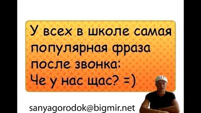 Прикольные статусы на все случаи жизни для социальных сетей: 50+ вариантов