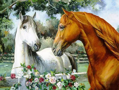 Лошади очень хорошо понимают людей, ревнуют и проверяют»: девушка из Самары  рассказала о жизни с конем в большом городе - KP.RU