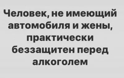 Выбраны самые смешные фото домашних животных 2023 года - Новости  Сахалинской области - astv.ru