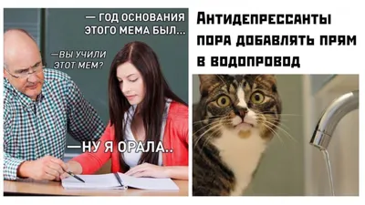 Подборка забавных ковриков с прикольными надписями для людей с чувством  юмора | Призма жизни | Дзен