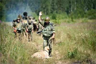 Нашивка Сапер прапори, лопати, міношукачі, бомби, міни| Купить нашивку с  шутками и приколами