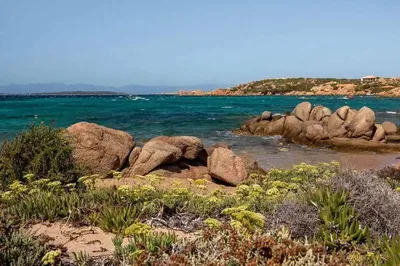 Сардиния - древняя земля, покрытая лесами, у моря — sardiniadom.com